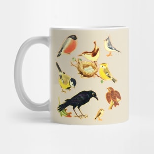 Vintage Styled Birds Illustration Design Mug